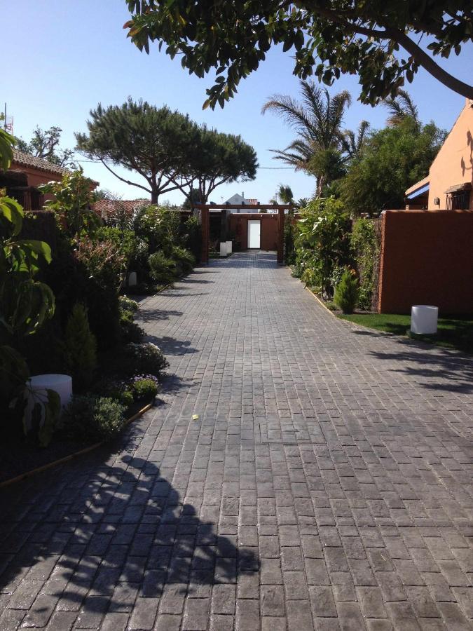 Estudio Con Jardincito Privado Barbacoa Y Piscina Cadiz Ngoại thất bức ảnh